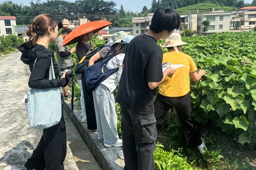 在特色果蔬种植基地采集素材.jpg 在特色果蔬种植基地采集素材.jpg